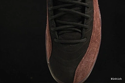RETRO DV6989-001 WMNS AJ12 Jordan 12 SP Air 0914